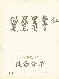 猫尿里带红色的是怎么了