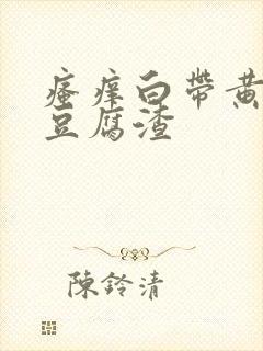 瘙痒白带黄绿色豆腐渣封面