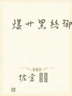爆艹黑丝御姐封面