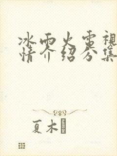 冰雨火电视剧剧情介绍分集