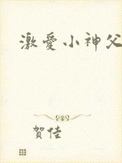 激爱小神父