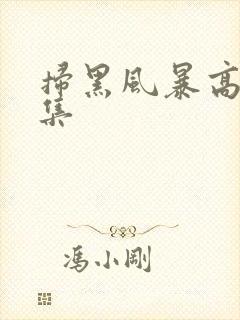 扫黑风暴高清全集