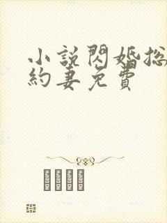 小说闪婚总裁契约妻免费