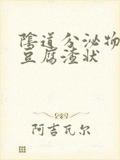 阴道分泌物白色豆腐渣状