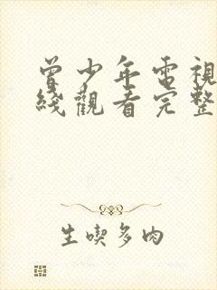 曾少年电视剧在线观看完整版免费封面