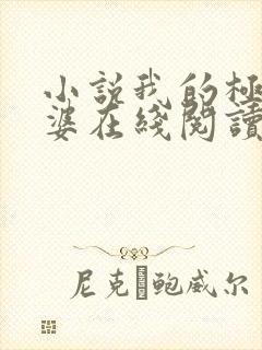 小说我的极品老婆在线阅读全文