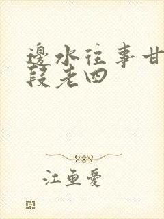 边水往事甘廷和段老四