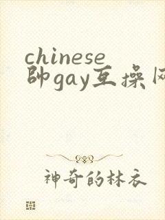 chinese帅gay互操网站asian
