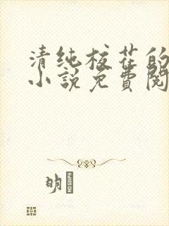 清纯校花的秘密小说免费阅读