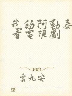 我的阿勒泰在线看电视剧封面