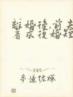 离婚后,前夫哭着求复婚短剧