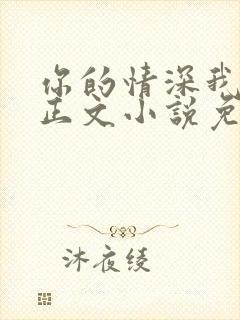 你的情深我不配正文小说免费阅读