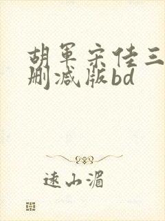 胡军宋佳三级未删减版bd封面