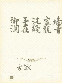 御手洗家墙壁破洞在线观看