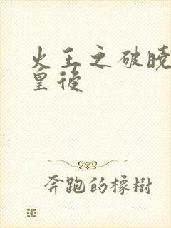 火王之破晓之战皇后封面