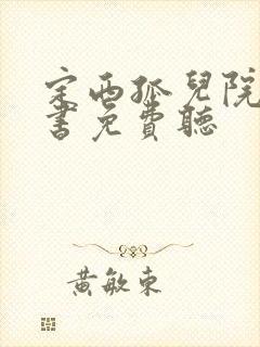 定西孤儿院有声书免费听封面