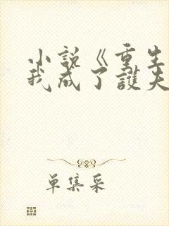 小说《重生后,我成了护夫狂魔》