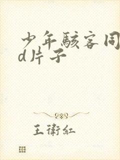 少年骇客同人3d片子