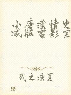 小唐璜情史未删减版电影完整版免费封面