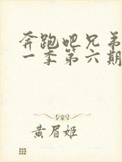 奔跑吧兄弟第十一季第六期免费观看封面