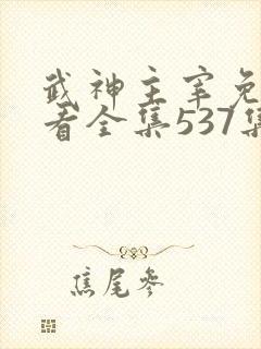 武神主宰免费观看全集537集