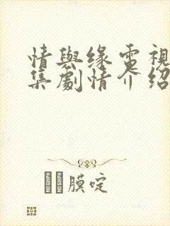 情与缘电视剧分集剧情介绍