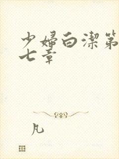 少妇白洁第三十七章