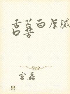 舌苔白厚腻口干口苦