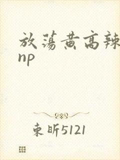 放荡黄高辣h文np
