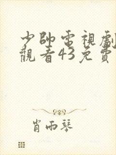 少帅电视剧全集观看43免费下载