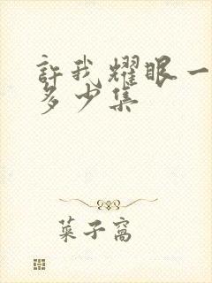 许我耀眼一共有多少集