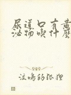 尿道口有黄色分泌物吃什么药