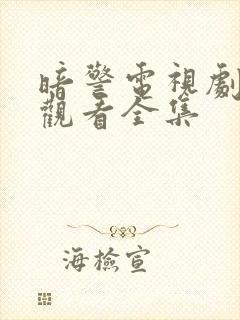 暗警电视剧免费观看全集封面