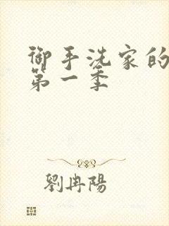 御手洗家的墙洞第一季