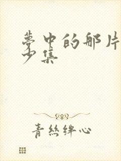 梦中的那片海多少集