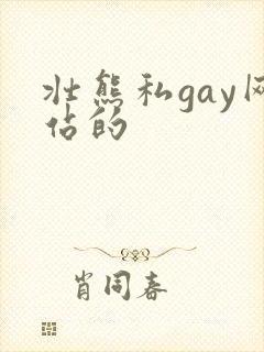 壮熊私gay网站的