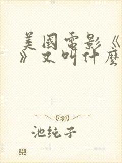 美国电影《偷偷》又叫什么电影封面