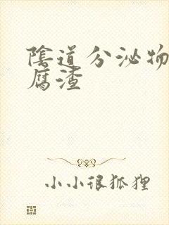 阴道分泌物向豆腐渣