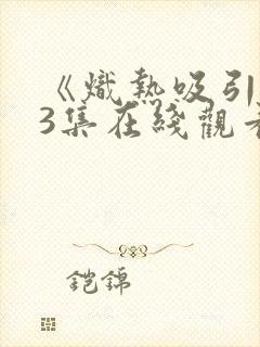 《炽热吸引》13集在线观看