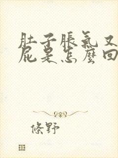 肚子胀气又总放屁是怎么回事