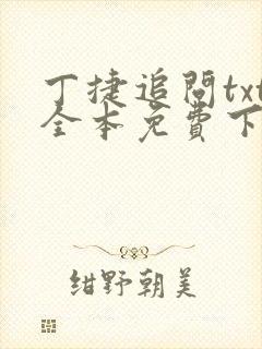 丁捷追问txt全本免费下载