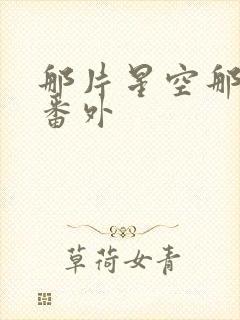 那片星空那片海番外