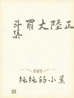 斗罗大陆正版全集