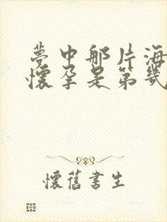 梦中那片海晓梅怀孕是第几集