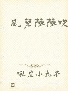风儿阵阵吹封面