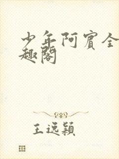 少年阿宾全文笔趣阁封面