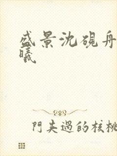 盛景沈砚舟宁若曦封面