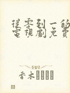 从零到一的爱情电视剧免费封面