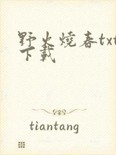 野火烧春txt下载