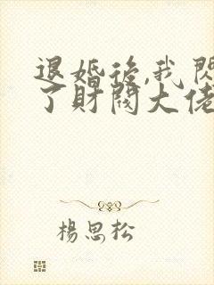 退婚后,我闪婚了财阀大佬